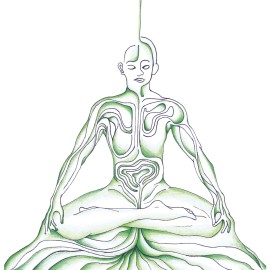 Cultivando la meditación