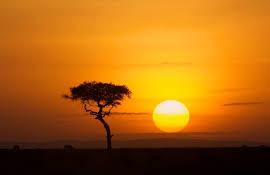 Nuevos comienzos, nuevas realidades